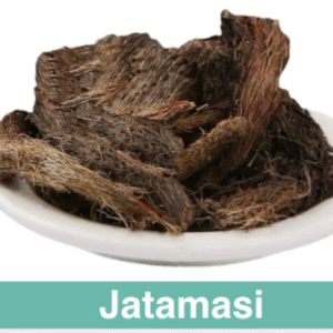 Screenshot 2025-06-26 at 1.59.08 PM-1500x1500